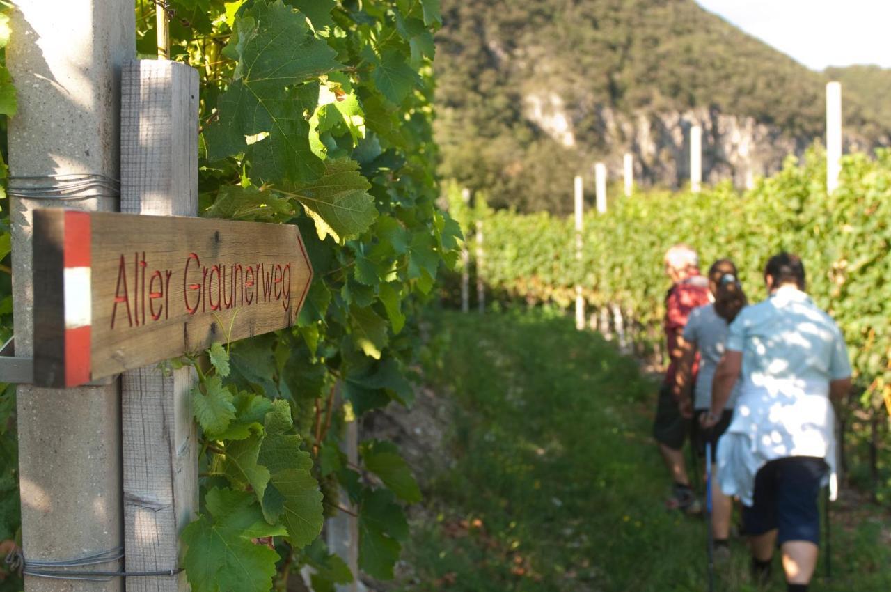 Апартаменты Santlhof - Sauvignon Кортачча Экстерьер фото